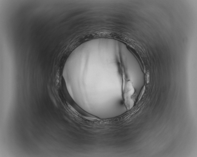 X0000112411011200908141021