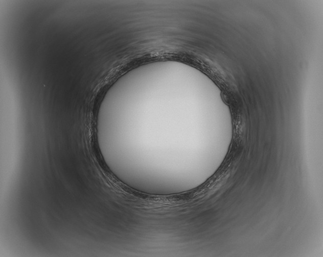X0000112411012200908141021