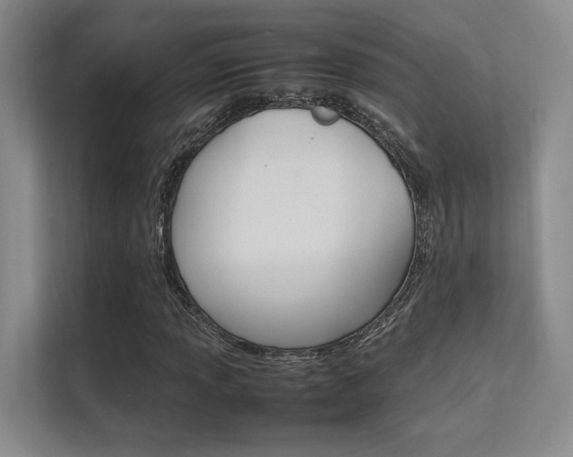 X0000112411013200908141021