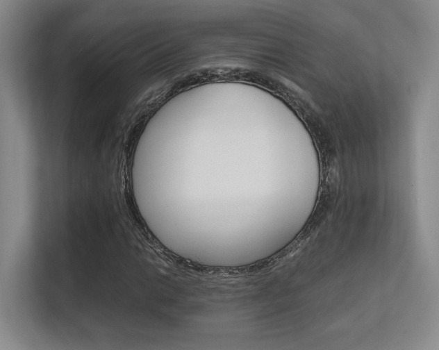 X0000112411014200908141021