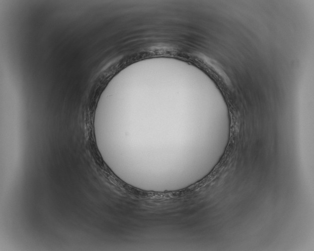 X0000112411015200908141021