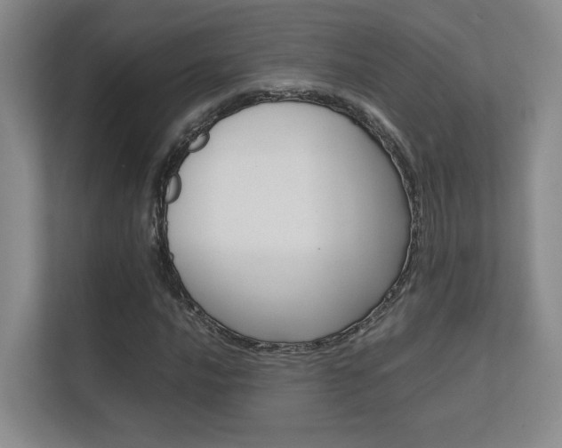 X0000112411016200908141021
