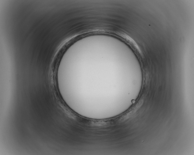 X0000112411019200908141021