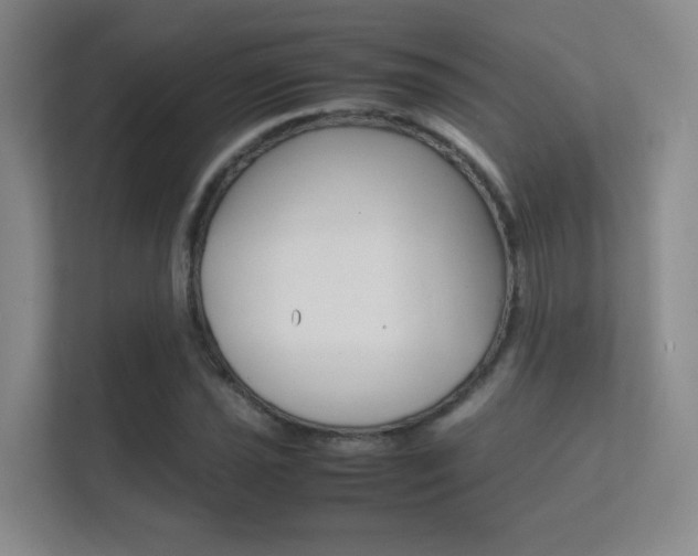 X0000112411021200908141021