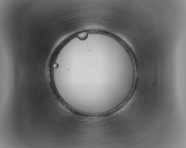 X0000112411022200908141021