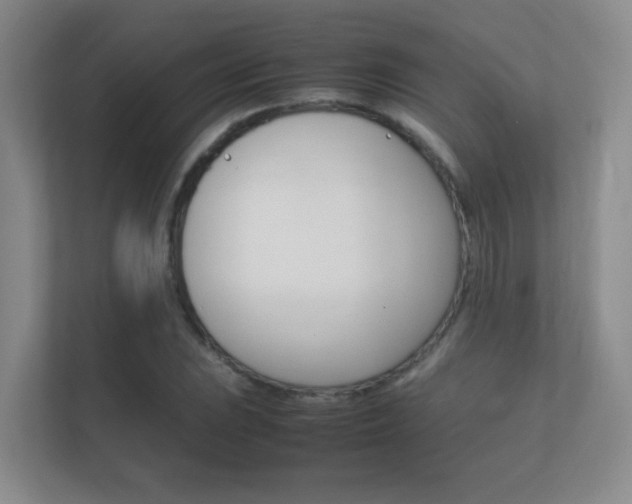 X0000112411023200908141021