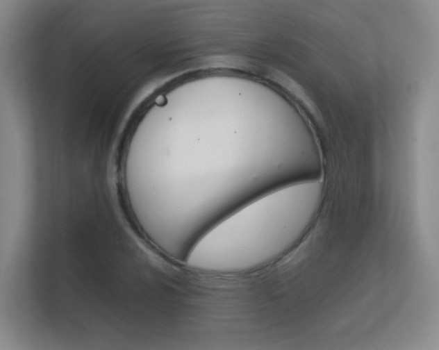 X0000112411024200908141021