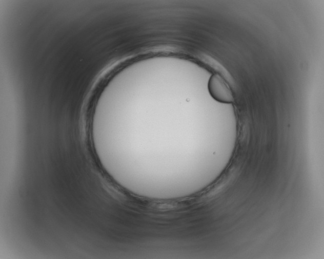 X0000112411027200908141021