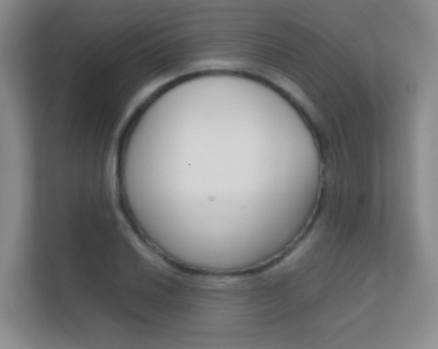 X0000112411030200908141021