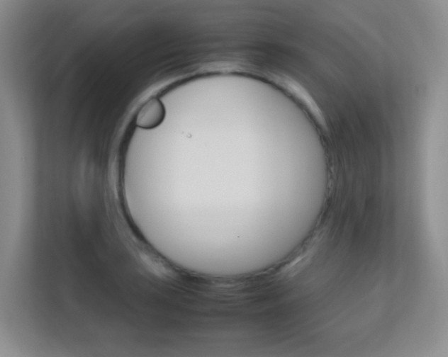 X0000112411035200908141021