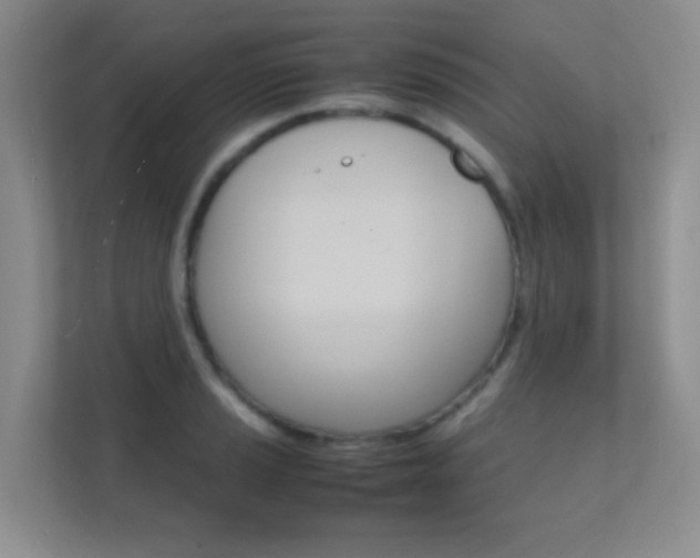 X0000112411037200908141021