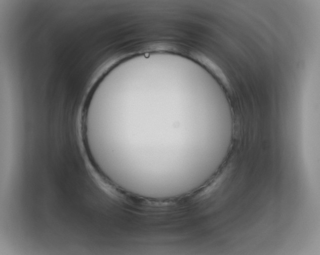 X0000112411039200908141021
