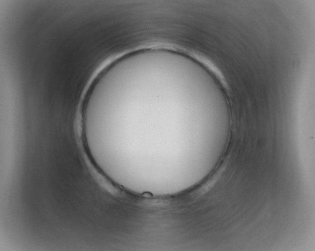 X0000112411040200908141021