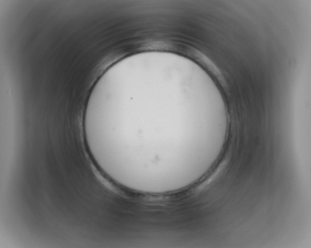 X0000112411041200908141021