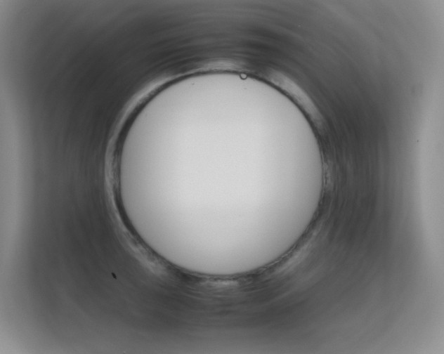 X0000112411043200908141021