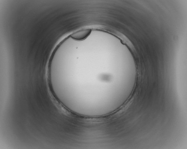 X0000112411044200908141021