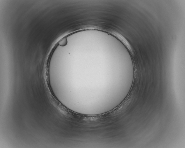X0000112411051200908141021
