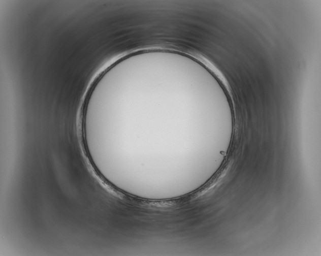 X0000112411053200908141021