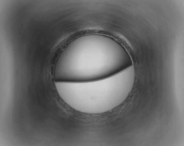 X0000112411064200908141021