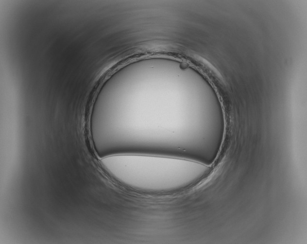 X0000112411065200908141021