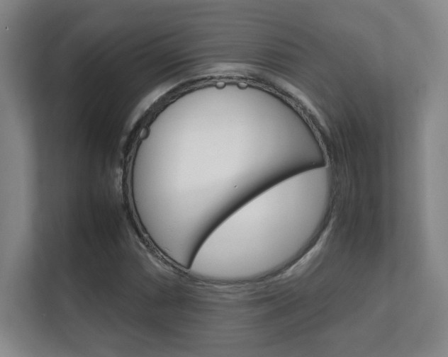 X0000112411066200908141021