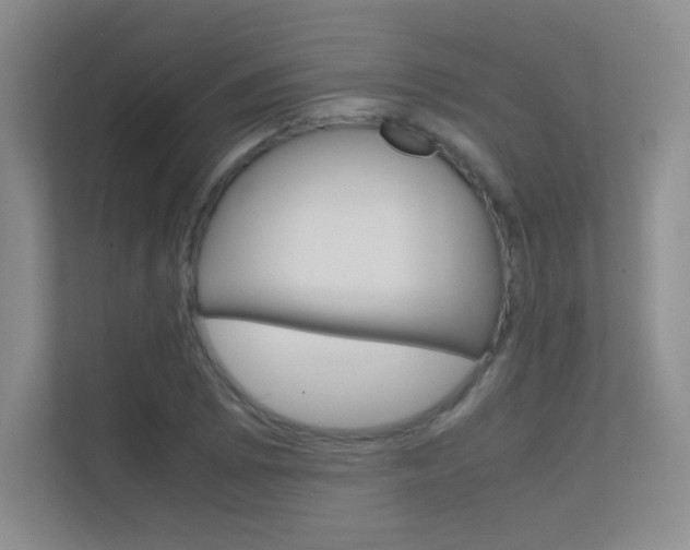 X0000112411073200908141021