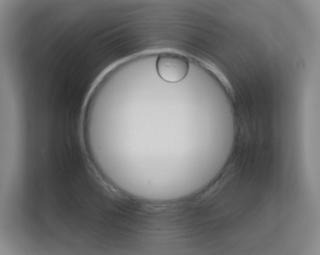 X0000112411076200908141020
