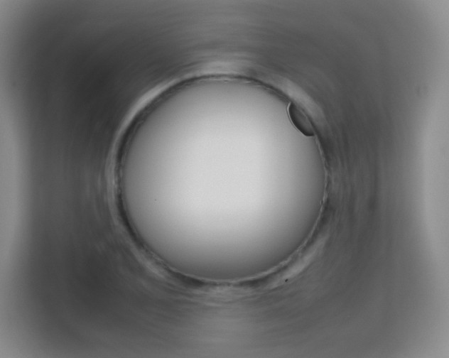 X0000112411077200908141020