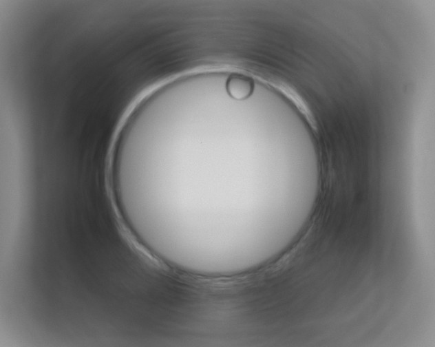 X0000112411080200908141020