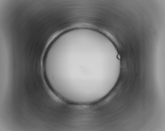 X0000112411082200908141020