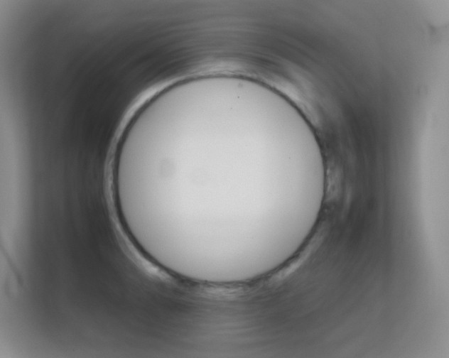 X0000112411086200908141020