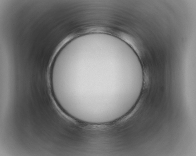X0000112411090200908141020
