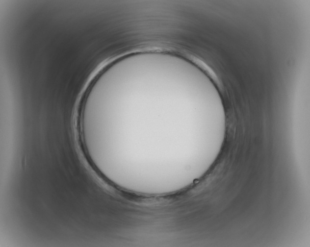 X0000112411091200908141020
