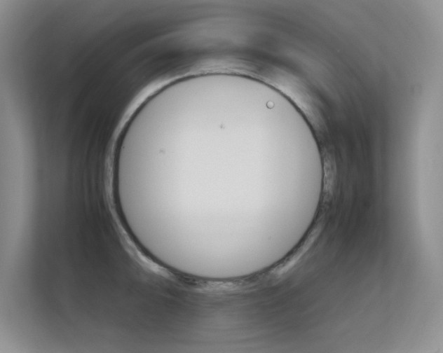 X0000112411094200908141020
