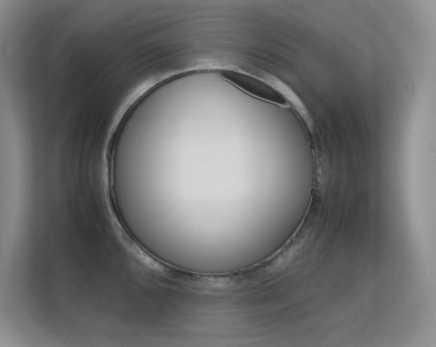 X0000112411096200908141020