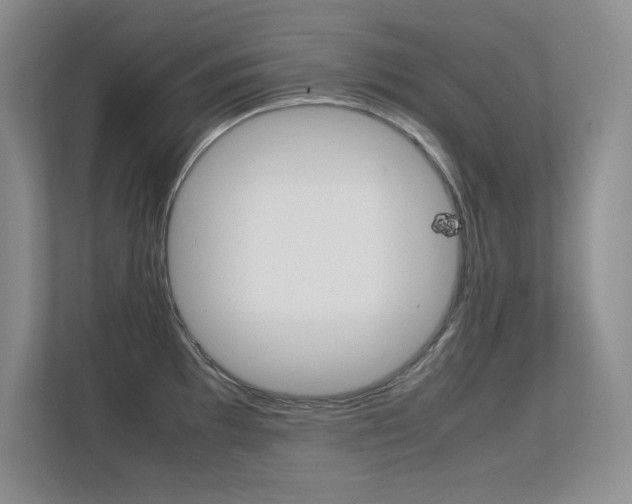 X0000112411097200908141020