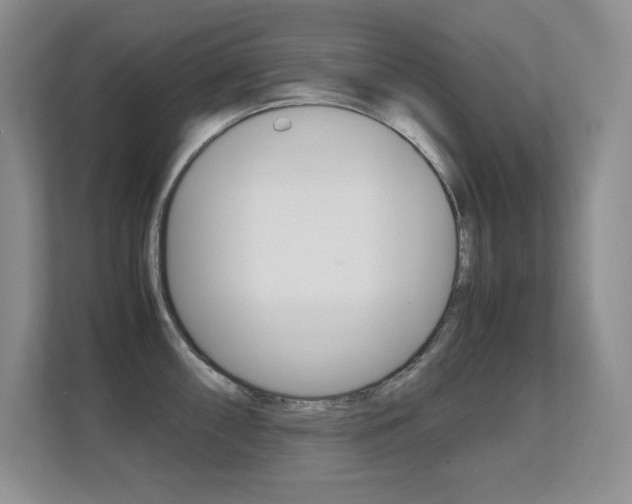 X0000112411098200908141020