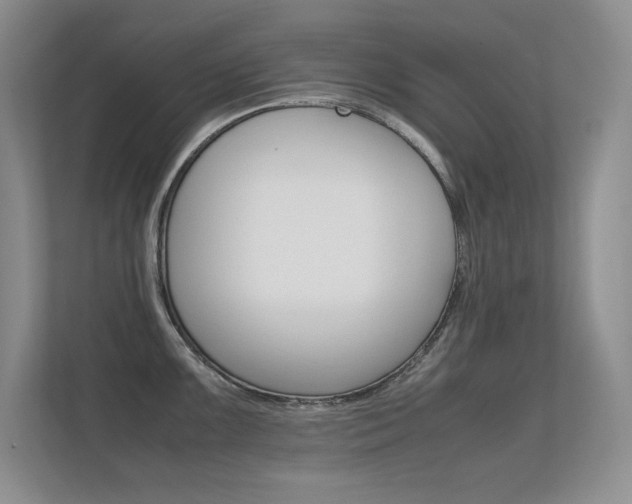 X0000112411099200908141020