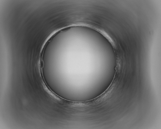 X0000112411100200908141020