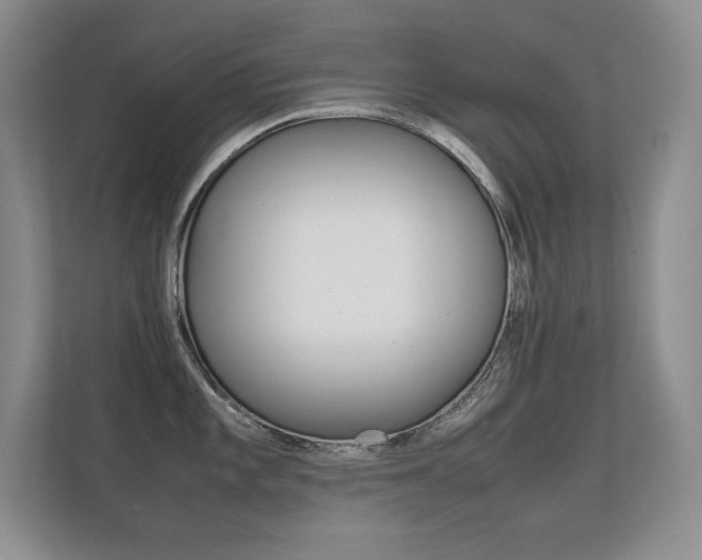 X0000112411101200908141020