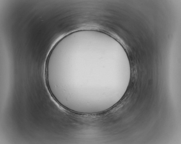 X0000112411103200908141020
