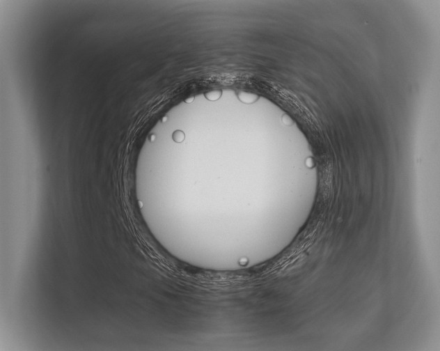 X0000112411105200908141019
