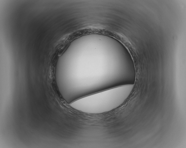 X0000112411110200908141020