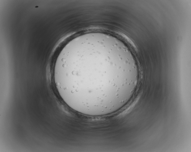 X0000112411117200908141020