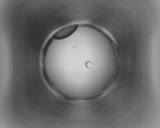 X0000112411124200908141020