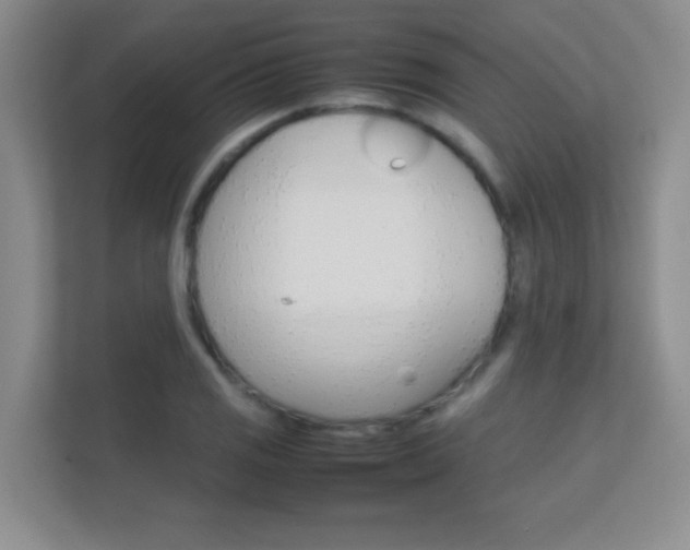 X0000112411125200908141020