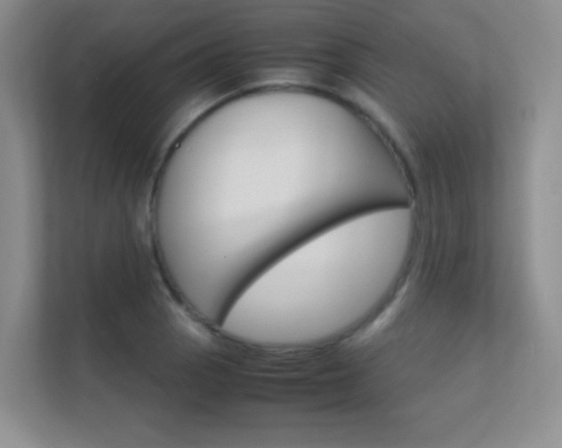 X0000112411129200908141020
