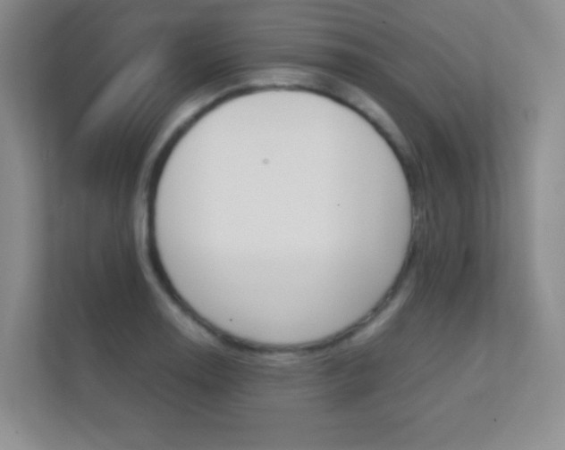 X0000112411130200908141020