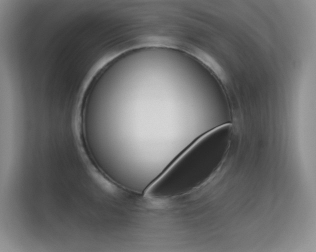 X0000112411136200908141020