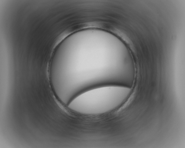 X0000112411137200908141020
